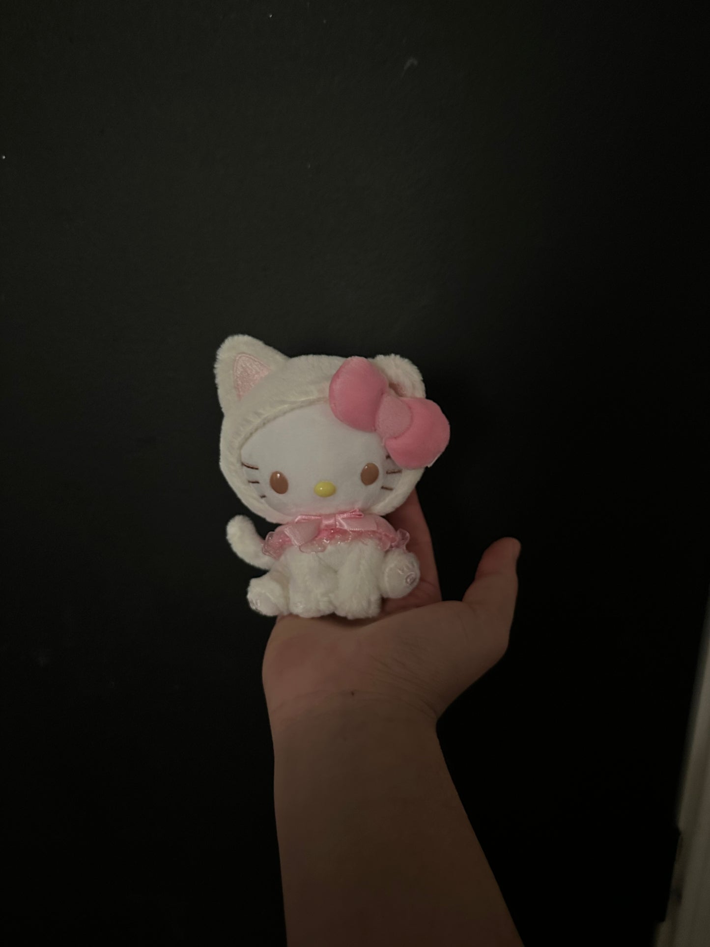 Cat HK Mini