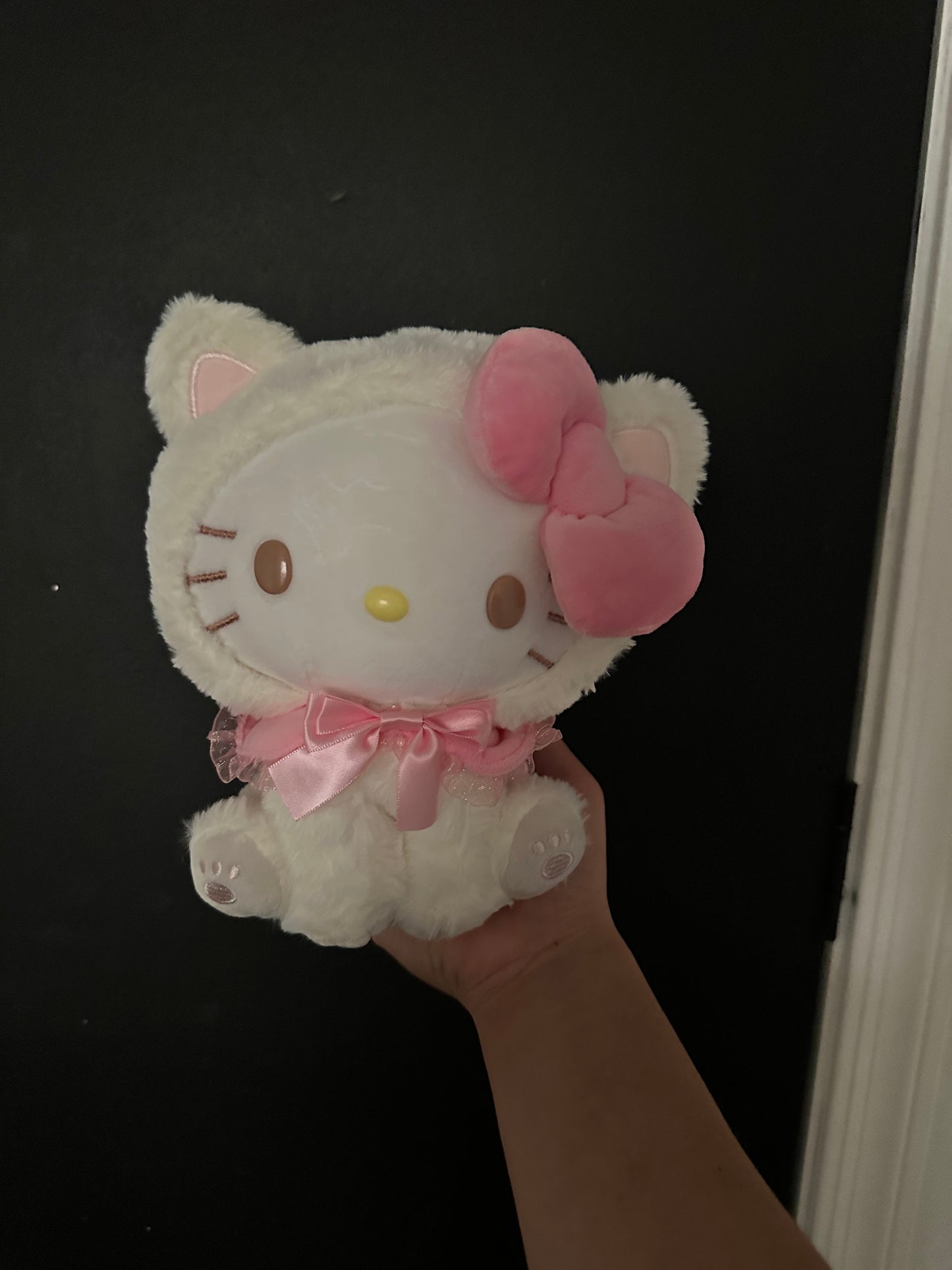 Cat HK