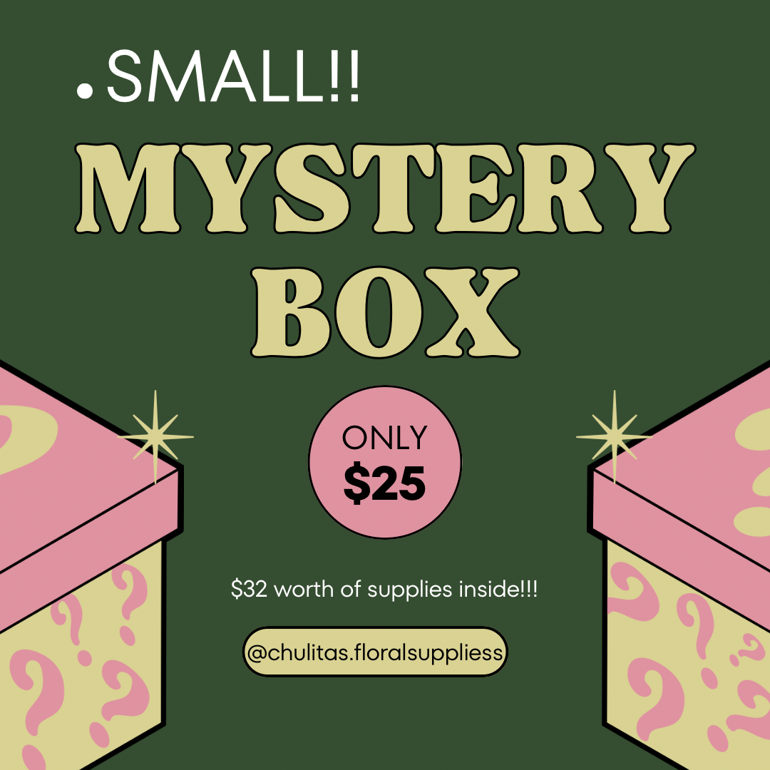 SMALL MYSTERY BOX
