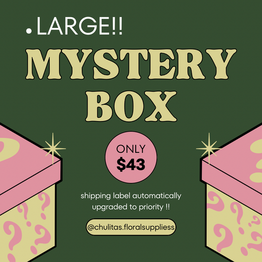 LARGE MYSTERY BOX